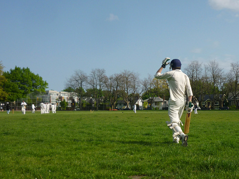 The Role of Cricket in Corporate Sponsorship and Marketing Strategies